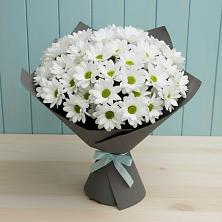 Букет цветов из:  Хризантемы в Октябрьское Ханты-Мансийский АО