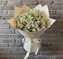 Букет цветов из:  Ромашки в Октябрьское Ханты-Мансийский АО