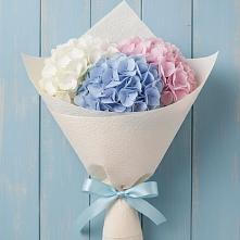 Букет цветов из:  Гортензия в Октябрьское Ханты-Мансийский АО