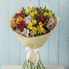 Букет цветов из:  Альстромерии в Октябрьское Ханты-Мансийский АО