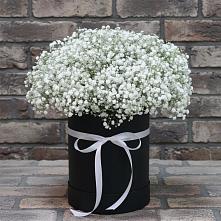 Цветочная композиция из Гипсофила в шляпной коробке #REPLACE_PRED# Октябрьское Ханты-Мансийский АО