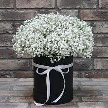 Цветочная композиция из Гипсофила в шляпной коробке в Октябрьское Ханты-Мансийский АО