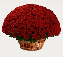 Премиум букет из: Розы в Октябрьское Ханты-Мансийский АО