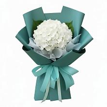 Букет цветов из:  Гортензия в Октябрьское Ханты-Мансийский АО
